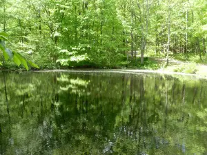 Lake Anna State Park