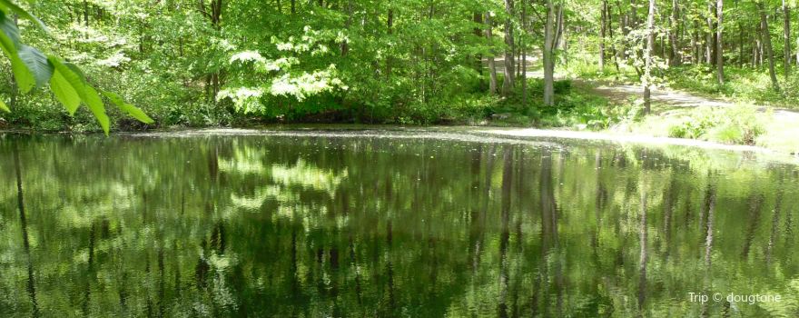 Lake Anna State Park