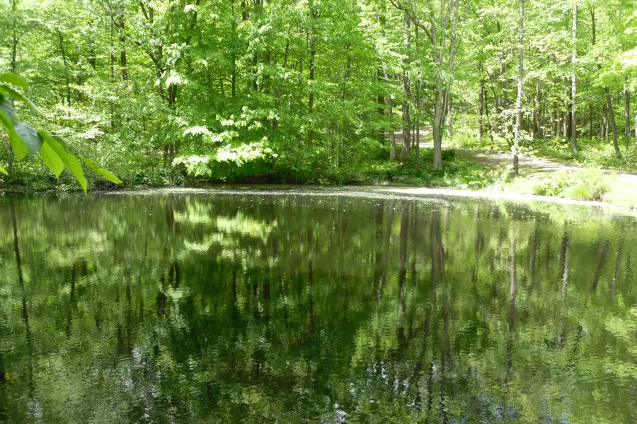 Lake Anna State Park