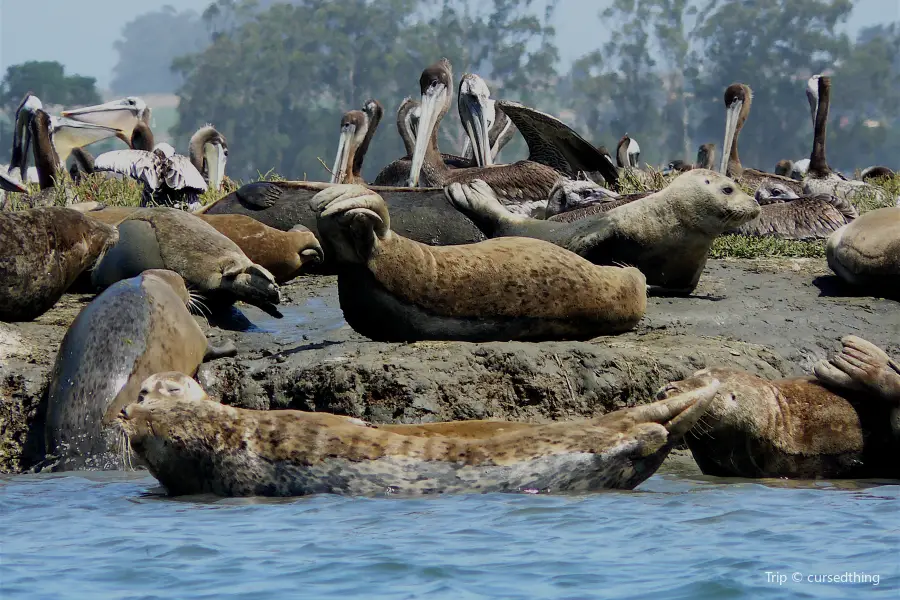 Elkhorn Slough National Estuarine Research Reserve