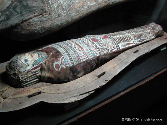 Yale Peabody Museum