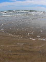 Galveston Island State Park