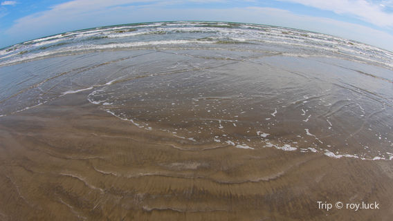 Galveston Island State Park