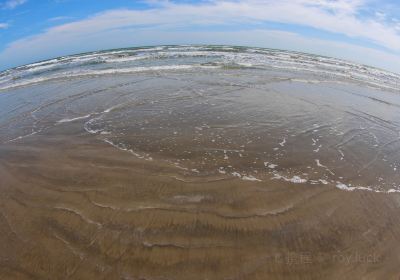 Galveston Island State Park