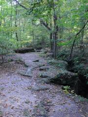 Nelson-Kennedy Ledges State Park