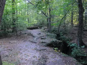 Nelson-Kennedy Ledges State Park