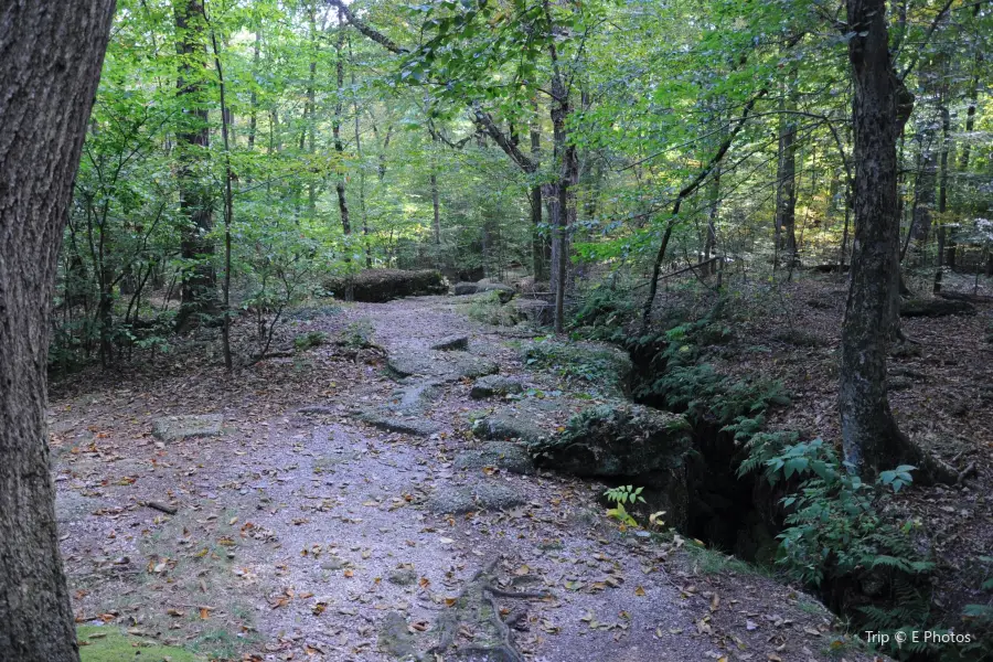 Nelson-Kennedy Ledges State Park