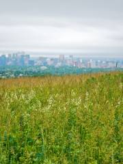 Nose Hill Park