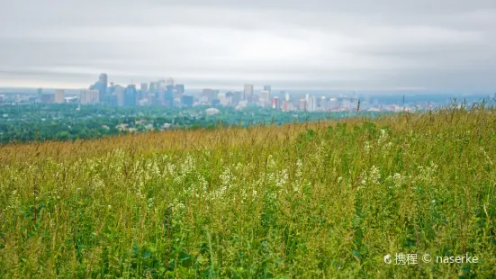 Nose Hill Park