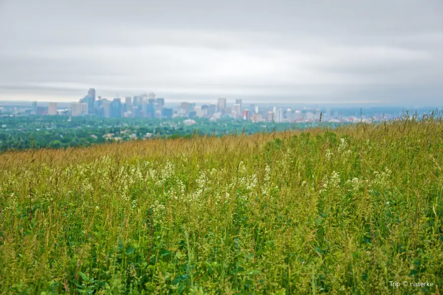 Nose Hill Park