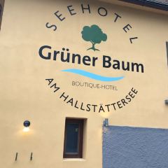 Restaurant im Seehotel Gruner Baum User Photo