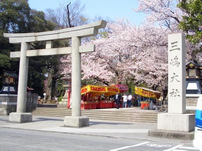 三岛大社是位于日本静冈县三岛市的神社，是三岛神社总本社。主祭