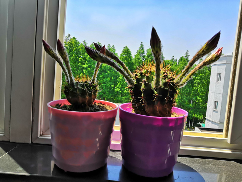 福壽山農場用戶評價