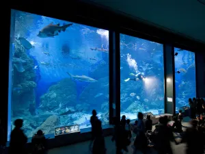 마린월드 우미노나카미치 (Marine World Uminonakamichi)