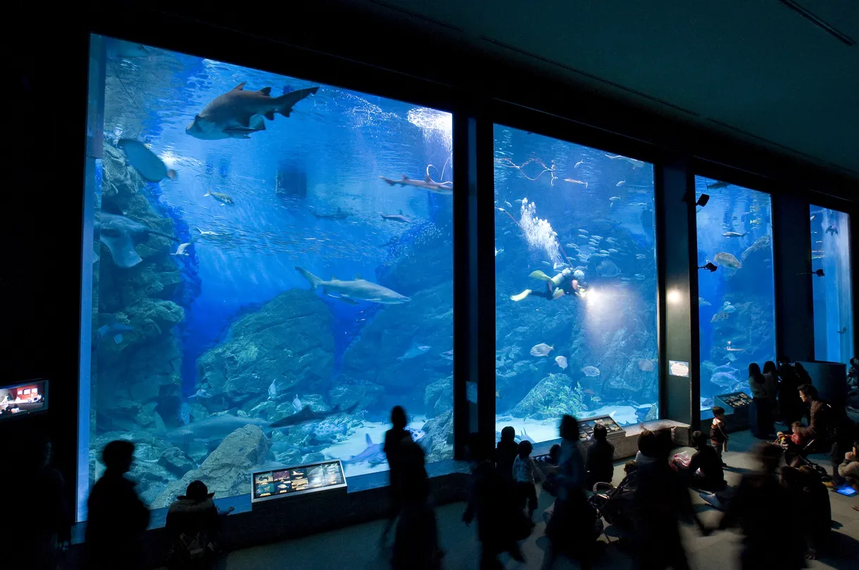 2_海洋世界海之中道