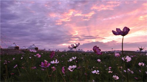 Shihua Grassland