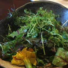 Bird’s Nest Yakitori & Bar User Photo