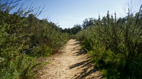 Eaton Canyon Falls Trail