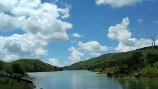 南山牧場雲霧山珍優酪乳特產體驗店(優酪乳特產旗艦店)