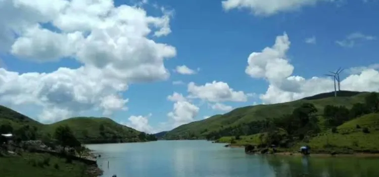 南山牧場雲霧山珍優酪乳特產體驗店(優酪乳特產旗艦店)