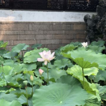 評論圖片 7