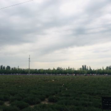 評論圖片 2