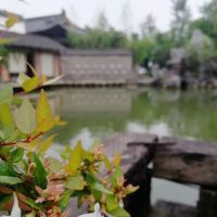 評論圖片 3