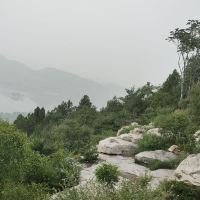 評論圖片 1