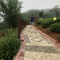 評論圖片 9