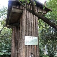 評論圖片 4