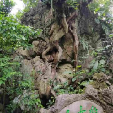 評論圖片 2
