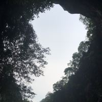 評論圖片 4