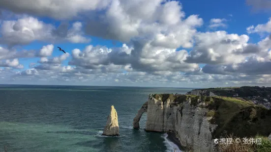 Falaise d'Amont