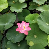 評論圖片 9