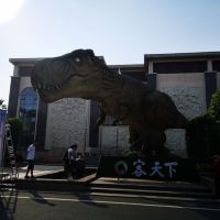 評論圖片 1