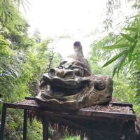 評論圖片 3