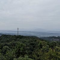 評論圖片 4