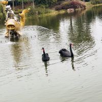 評論圖片 7