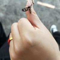 評論圖片 4
