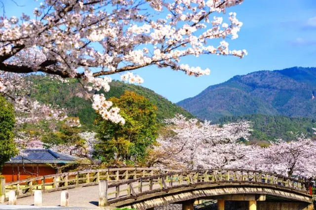 Arashiyama: Neighbourhood You Cannot Miss in Kyoto