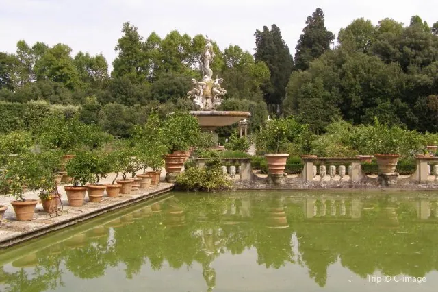 Top 16 Things to Do in Florence