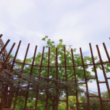 評論圖片 8