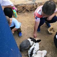 評論圖片 2