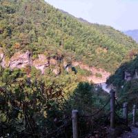 評論圖片 3