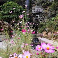 評論圖片 4