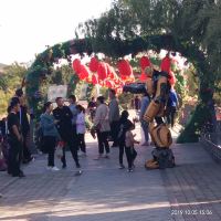 評論圖片 2