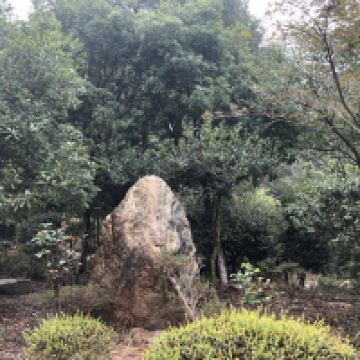 評論圖片 7