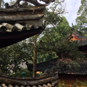評論圖片 8