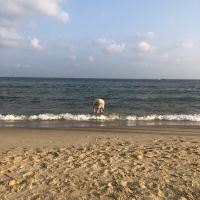 評論圖片 1
