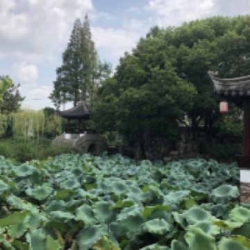評論圖片 2